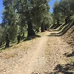 La Giara
