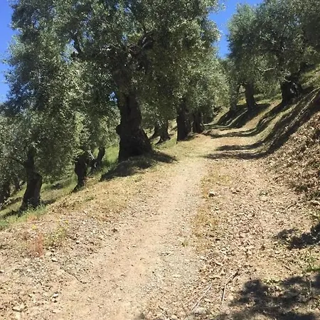 La Giara *