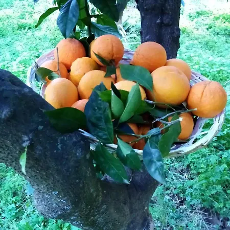 La Giara فندق مبيت وإفطار