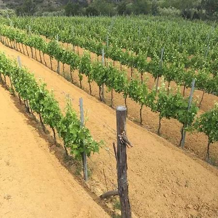 La Giara San Demetrio Corone