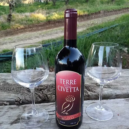 La Giara San Demetrio Corone