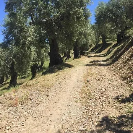 La Giara