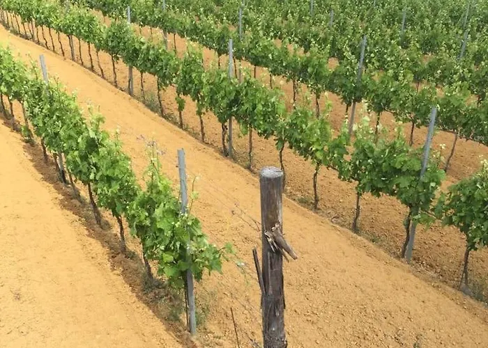 La Giara San Demetrio Corone